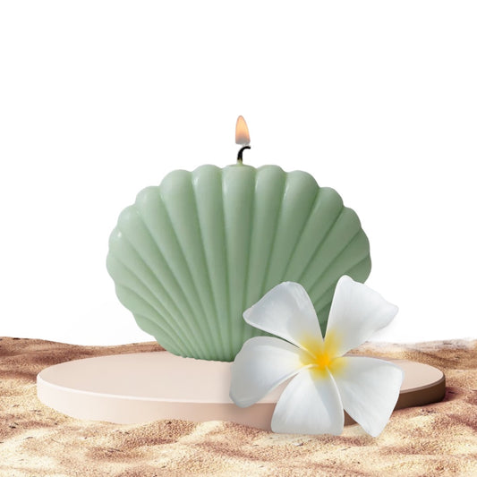 Sage and Sea Shell Art Candle